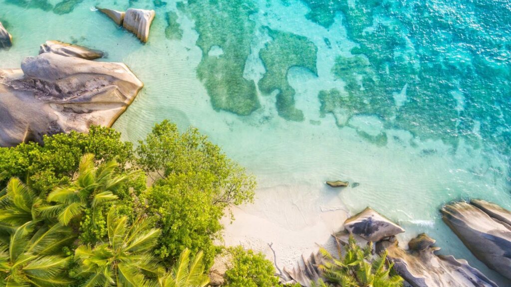 Anse Source d’Argent Aerial Beach View