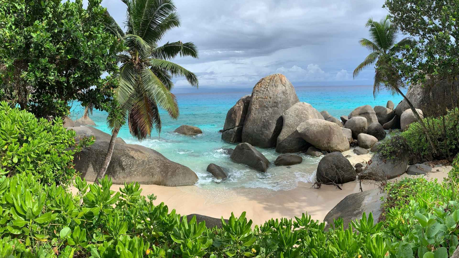 La Digue Cove Through Trees